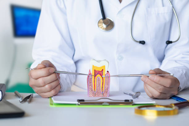 Best Emergency Root Canal Therapy in Eufaula, AL